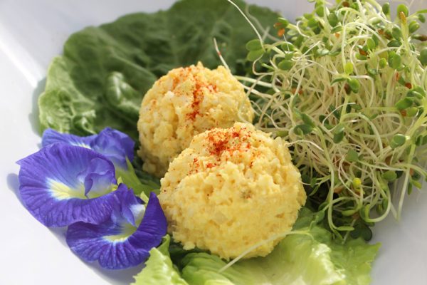 Egg Less “Egg” Salad (Raw Vegan)