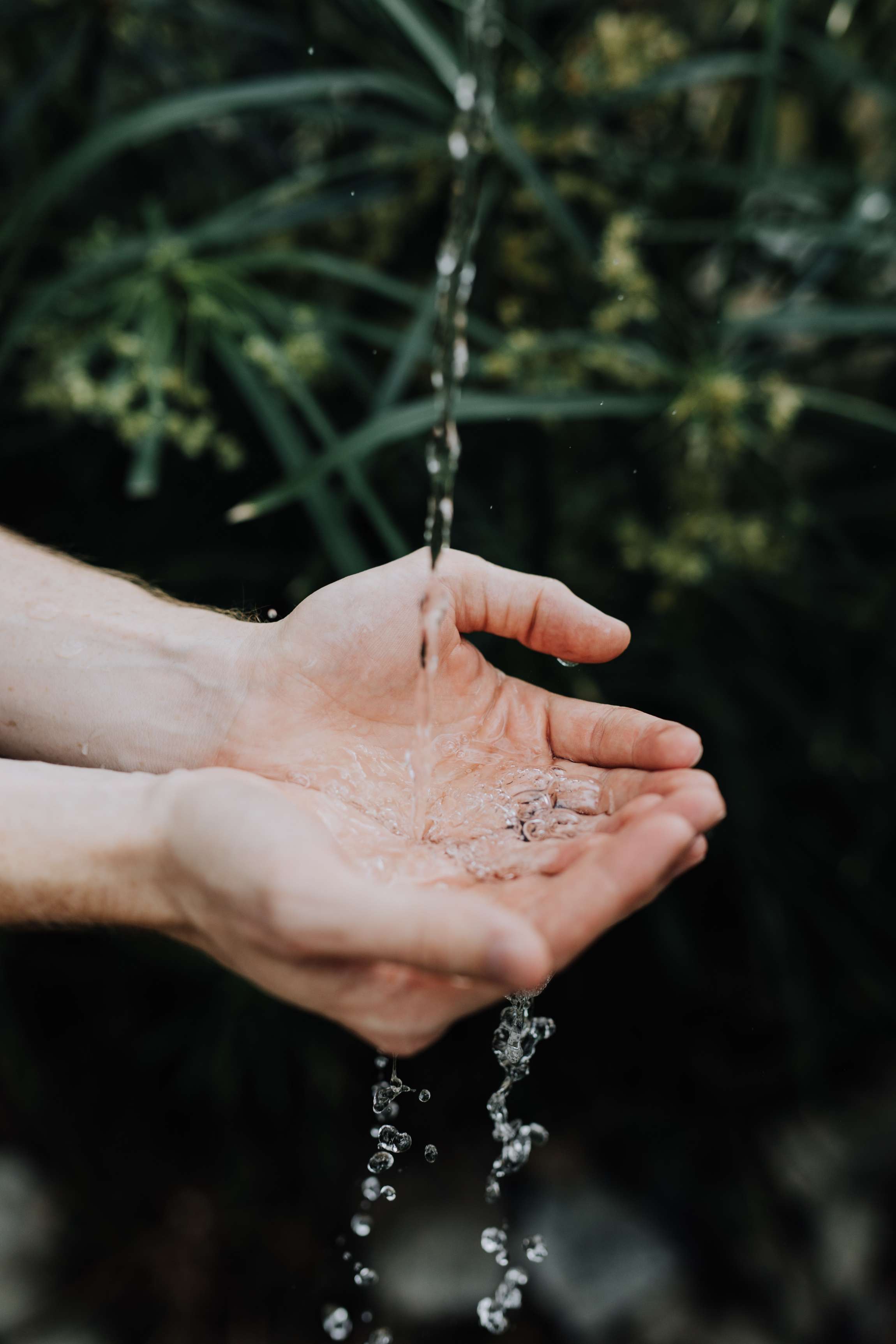 Austin Kehmeier K 7Z5z5 Q Unsplash