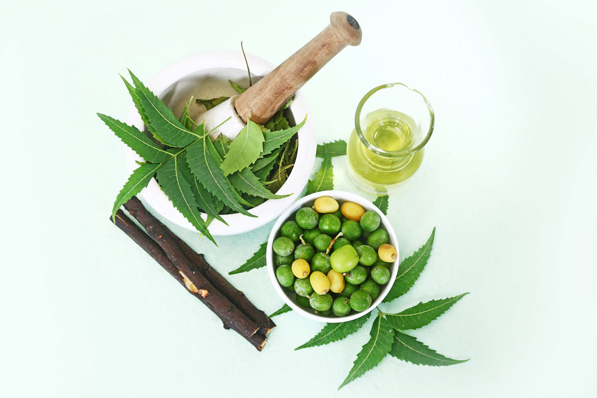 Ayurvedic Ingredient