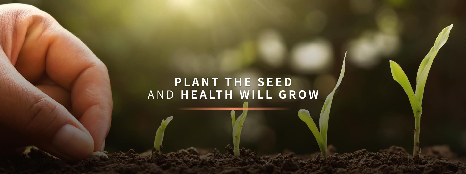 Plant Seed Health Grow